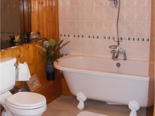 Bed and Breakfast Ashley House Данді Екстер'єр фото